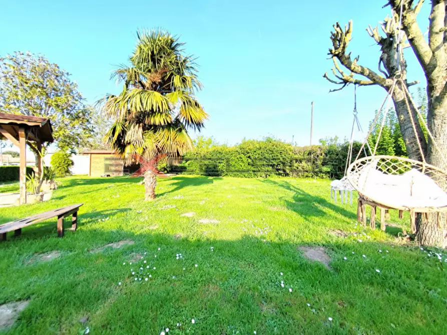 Immagine 16 di Casa indipendente in vendita  in Via G. Matteotti n.20 bis - Cavarzere (VE) a Cavarzere