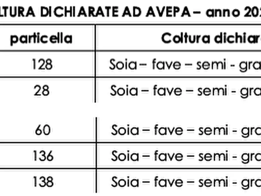 Immagine 1 di Terreno in vendita  a Legnago