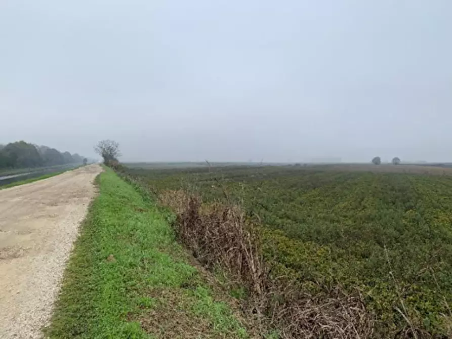 Immagine 2 di Terreno in vendita  a Legnago