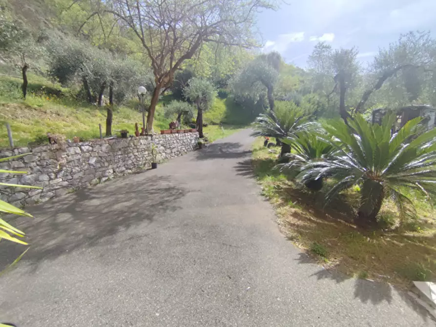Immagine 19 di Villa in vendita  in collina a Sestri Levante
