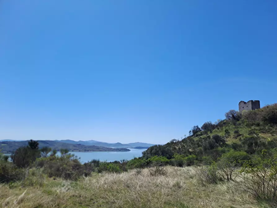 Immagine 1 di Rustico / casale in vendita  a Passignano Sul Trasimeno