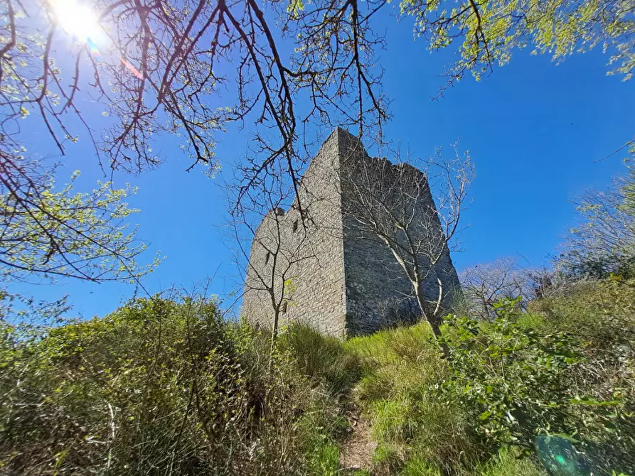 Immagine 3 di Rustico / casale in vendita  a Passignano Sul Trasimeno