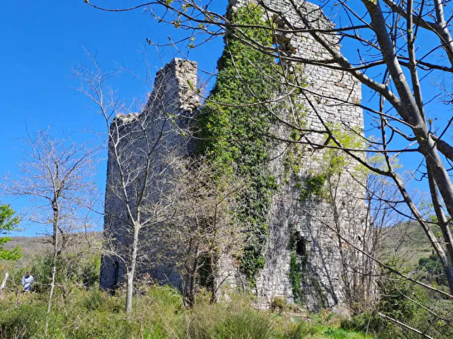 Immagine 4 di Rustico / casale in vendita  a Passignano Sul Trasimeno
