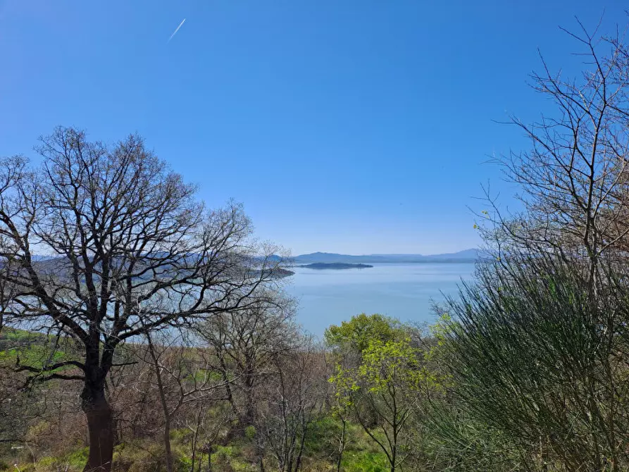 Immagine 5 di Rustico / casale in vendita  a Passignano Sul Trasimeno