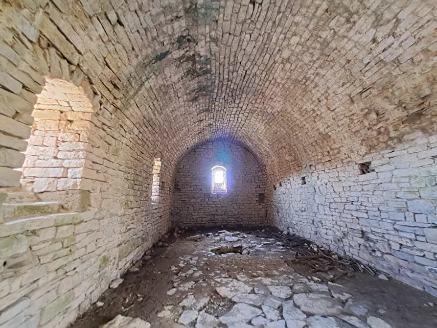 Immagine 6 di Rustico / casale in vendita  a Passignano Sul Trasimeno