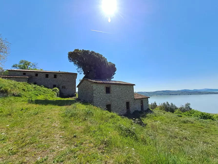 Immagine 7 di Rustico / casale in vendita  a Passignano Sul Trasimeno