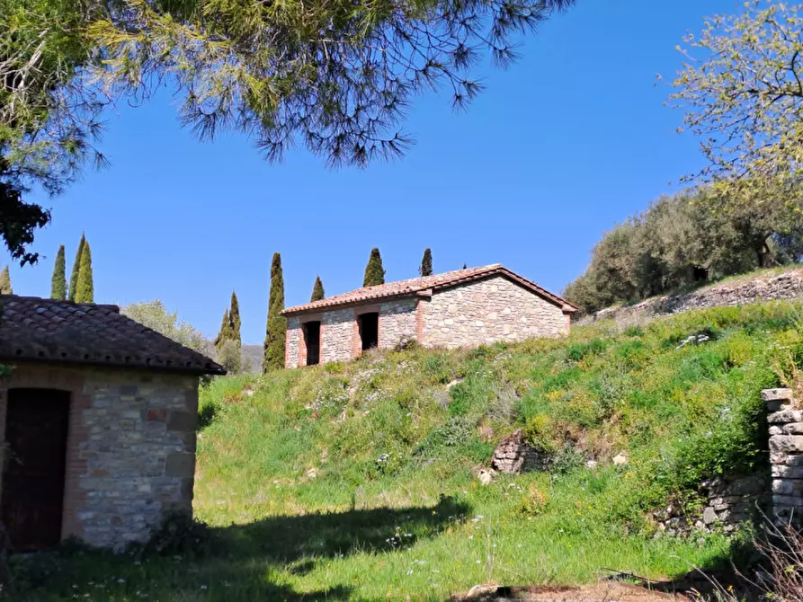 Immagine 9 di Rustico / casale in vendita  a Passignano Sul Trasimeno