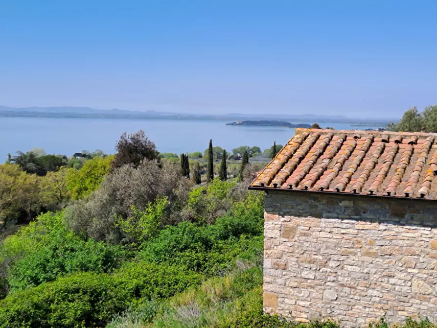 Immagine 11 di Rustico / casale in vendita  a Passignano Sul Trasimeno
