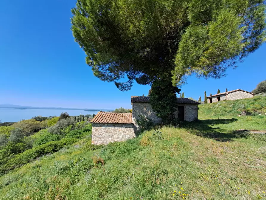 Immagine 12 di Rustico / casale in vendita  a Passignano Sul Trasimeno