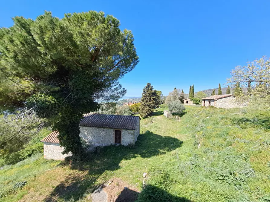 Immagine 13 di Rustico / casale in vendita  a Passignano Sul Trasimeno