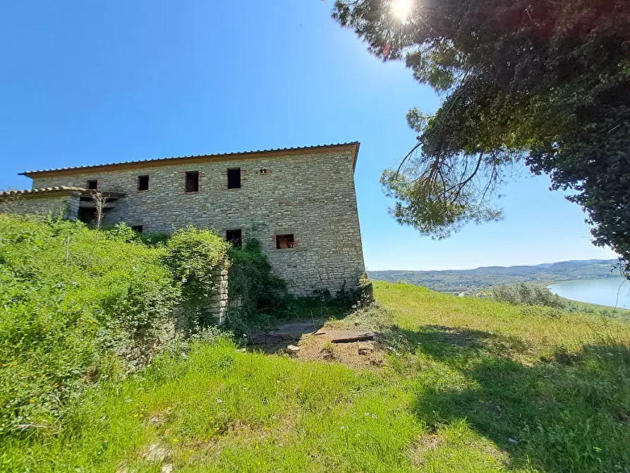 Immagine 14 di Rustico / casale in vendita  a Passignano Sul Trasimeno