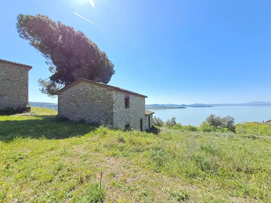 Immagine 15 di Rustico / casale in vendita  a Passignano Sul Trasimeno
