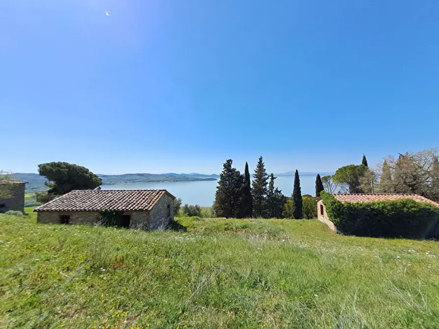 Immagine 17 di Rustico / casale in vendita  a Passignano Sul Trasimeno