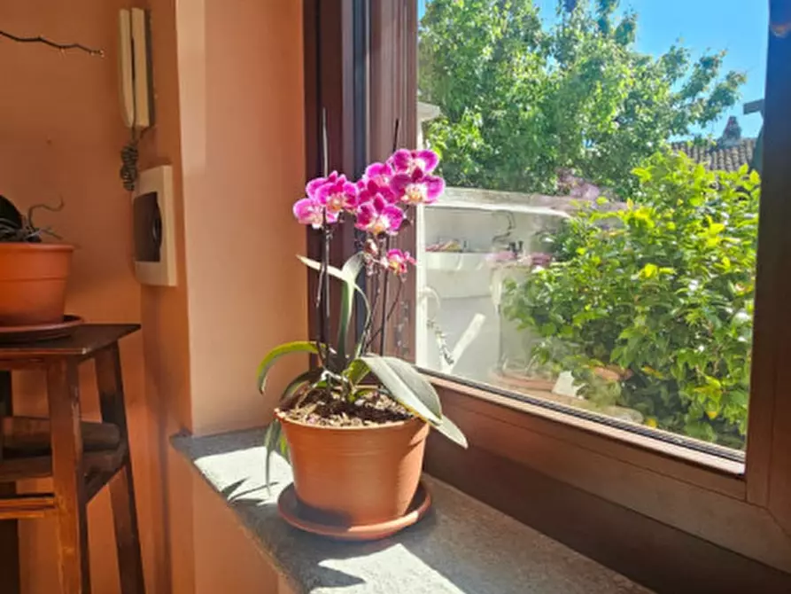 Immagine 25 di Casa bifamiliare in vendita  in Strada Sotto Roggia, 9 a Agliè