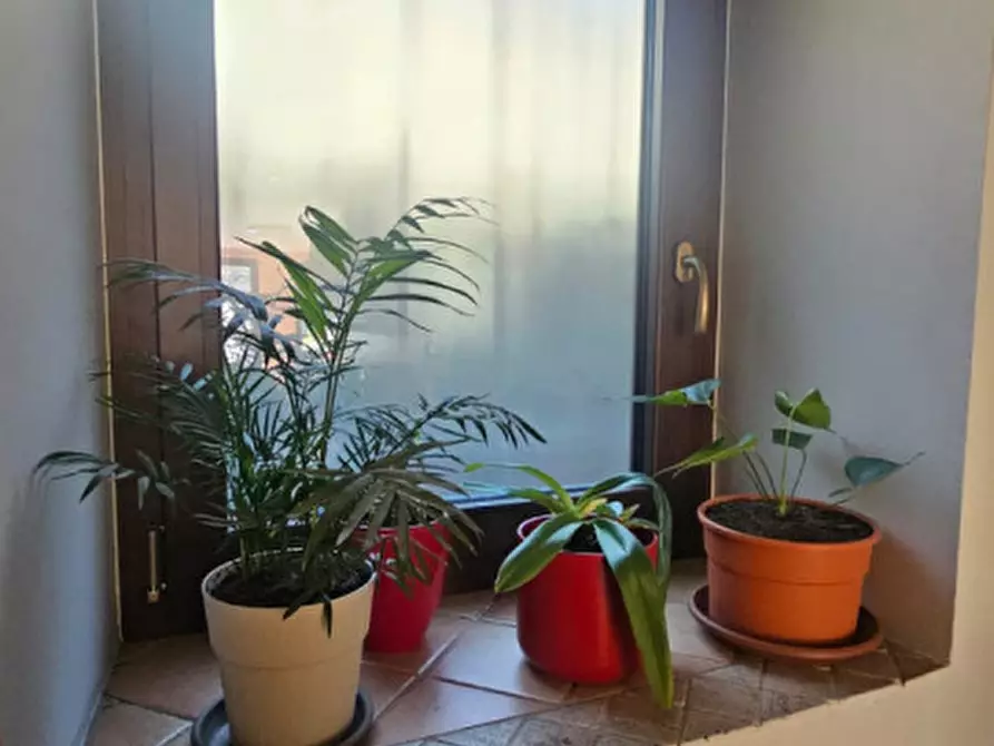 Immagine 28 di Casa bifamiliare in vendita  in Strada Sotto Roggia, 9 a Agliè
