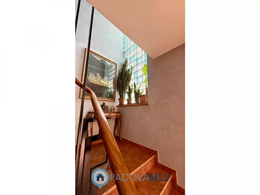 Immagine 14 di Casa indipendente in vendita  in Via Donato Bramante a Padova