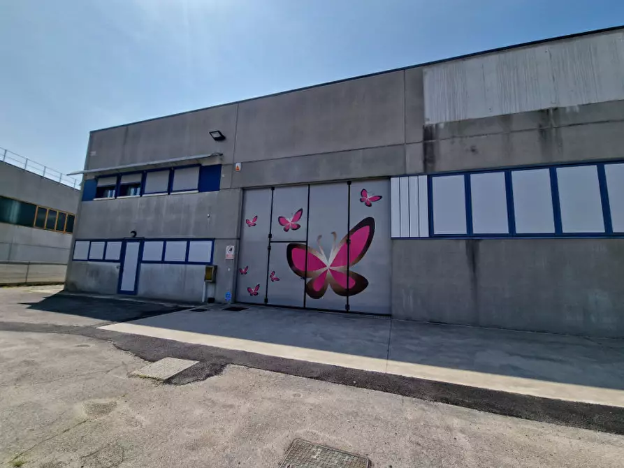 Immagine 2 di Capannone industriale in affitto  in Via Alessandro Volta a Veggiano