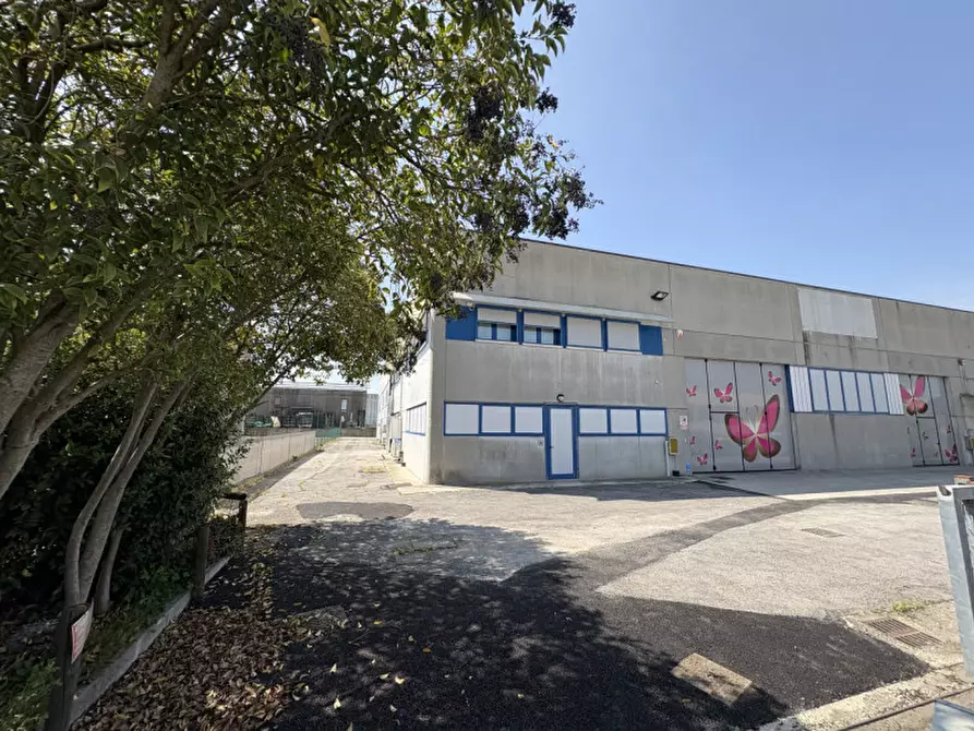Immagine 3 di Capannone industriale in affitto  in Via Alessandro Volta a Veggiano