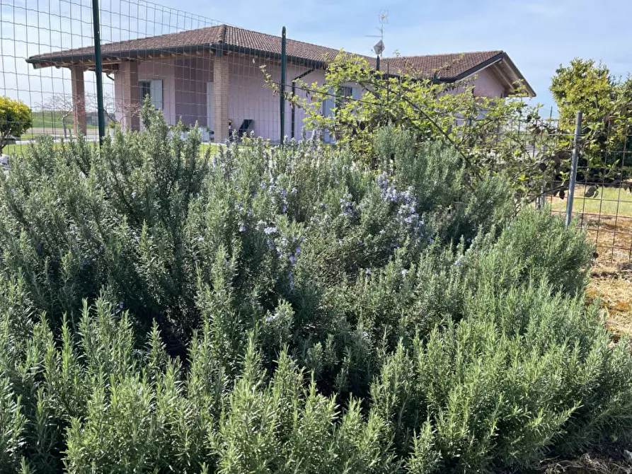 Immagine 29 di Villa in vendita  a Serravalle A Po