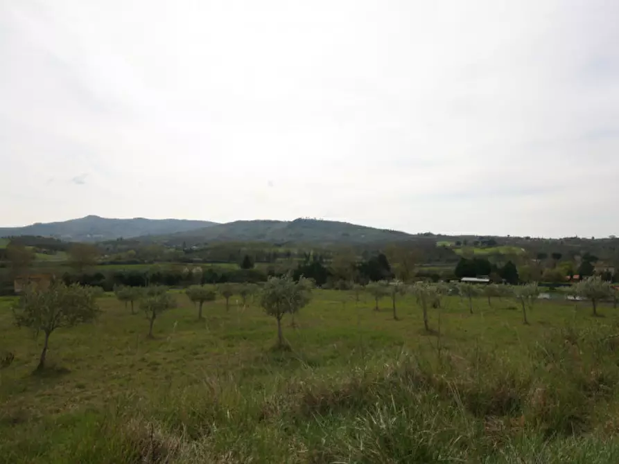 Immagine 22 di Casa indipendente in vendita  a Castiglione Del Lago