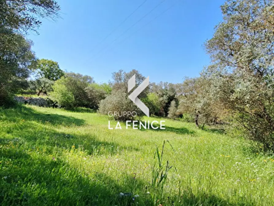 Immagine 1 di Terreno in vendita  in Contrada Pozzoallegro a Locorotondo