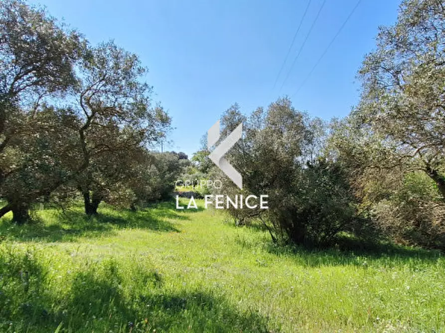 Immagine 7 di Terreno in vendita  in Contrada Pozzoallegro a Locorotondo