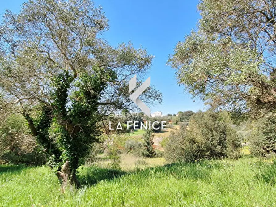 Immagine 8 di Terreno in vendita  in Contrada Pozzoallegro a Locorotondo