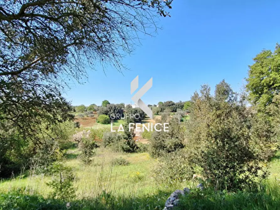 Immagine 9 di Terreno in vendita  in Contrada Pozzoallegro a Locorotondo