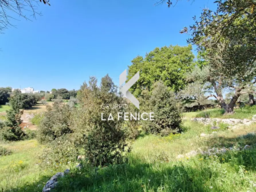 Immagine 10 di Terreno in vendita  in Contrada Pozzoallegro a Locorotondo