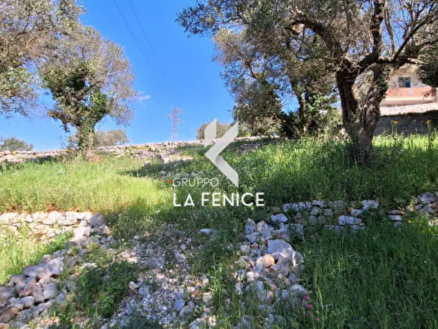 Immagine 13 di Terreno in vendita  in Contrada Pozzoallegro a Locorotondo