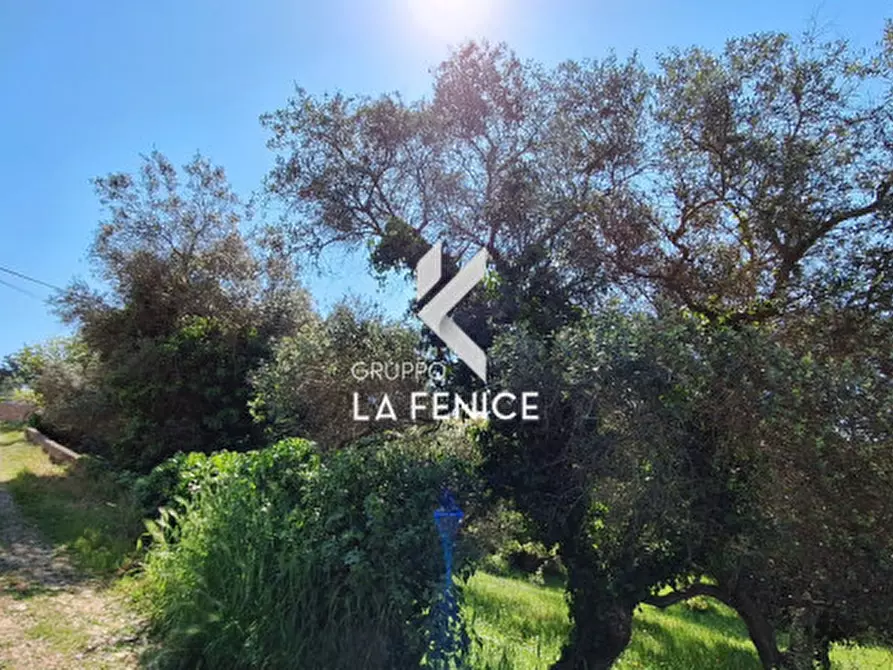 Immagine 15 di Terreno in vendita  in Contrada Pozzoallegro a Locorotondo