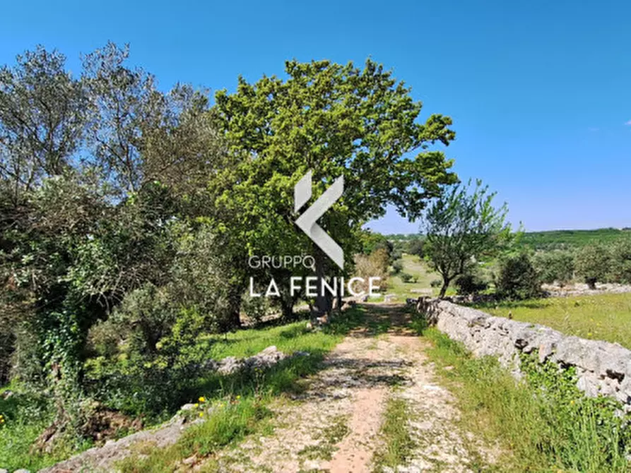 Immagine 17 di Terreno in vendita  in Contrada Pozzoallegro a Locorotondo
