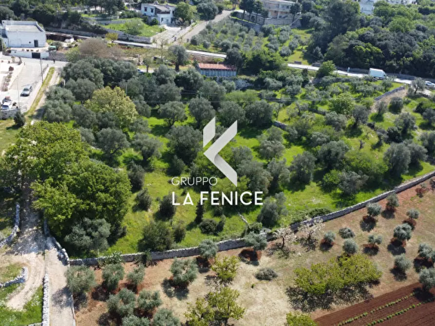 Immagine 18 di Terreno in vendita  in Contrada Pozzoallegro a Locorotondo