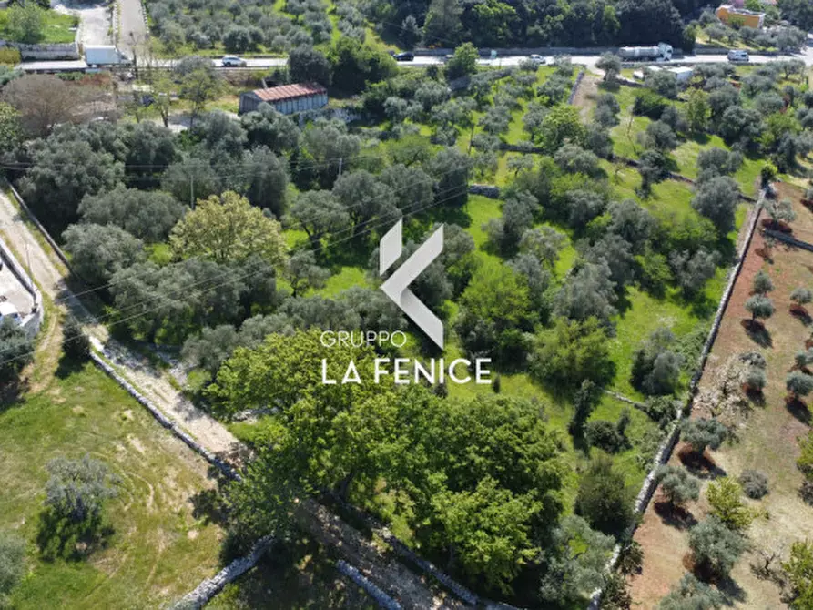 Immagine 19 di Terreno in vendita  in Contrada Pozzoallegro a Locorotondo