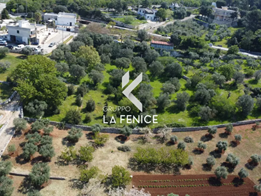 Immagine 20 di Terreno in vendita  in Contrada Pozzoallegro a Locorotondo