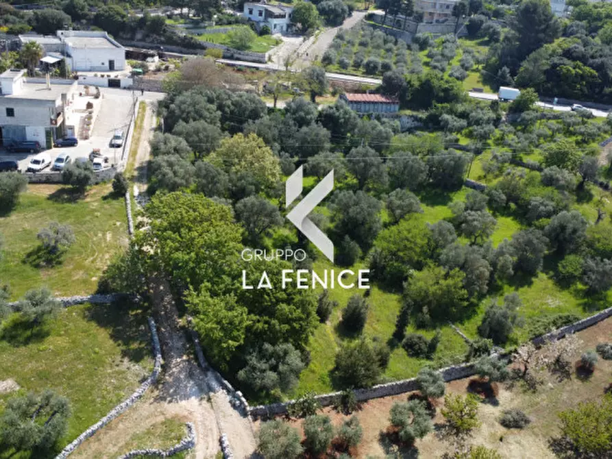Immagine 21 di Terreno in vendita  in Contrada Pozzoallegro a Locorotondo