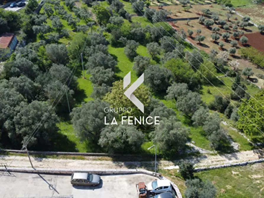 Immagine 22 di Terreno in vendita  in Contrada Pozzoallegro a Locorotondo