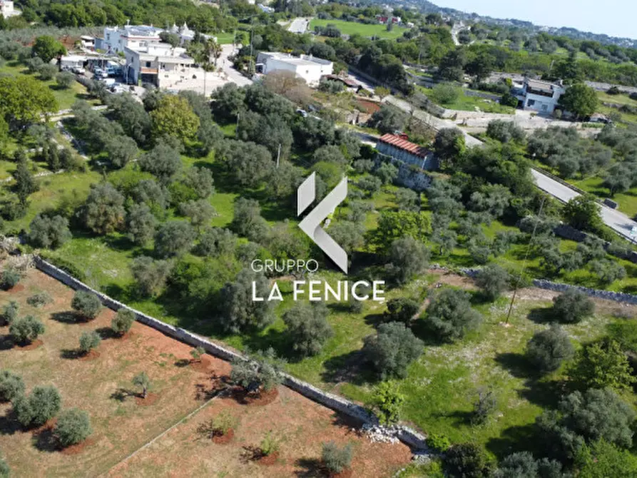 Immagine 24 di Terreno in vendita  in Contrada Pozzoallegro a Locorotondo