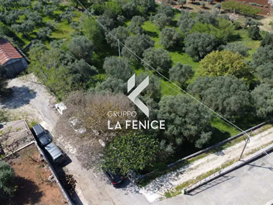 Immagine 25 di Terreno in vendita  in Contrada Pozzoallegro a Locorotondo