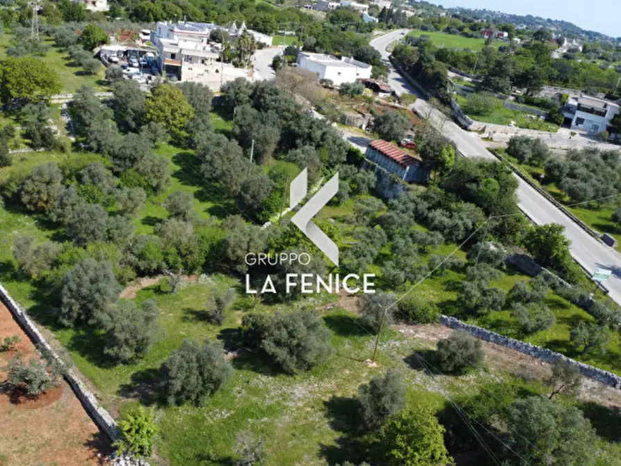Immagine 26 di Terreno in vendita  in Contrada Pozzoallegro a Locorotondo