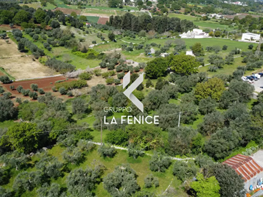 Immagine 28 di Terreno in vendita  in Contrada Pozzoallegro a Locorotondo