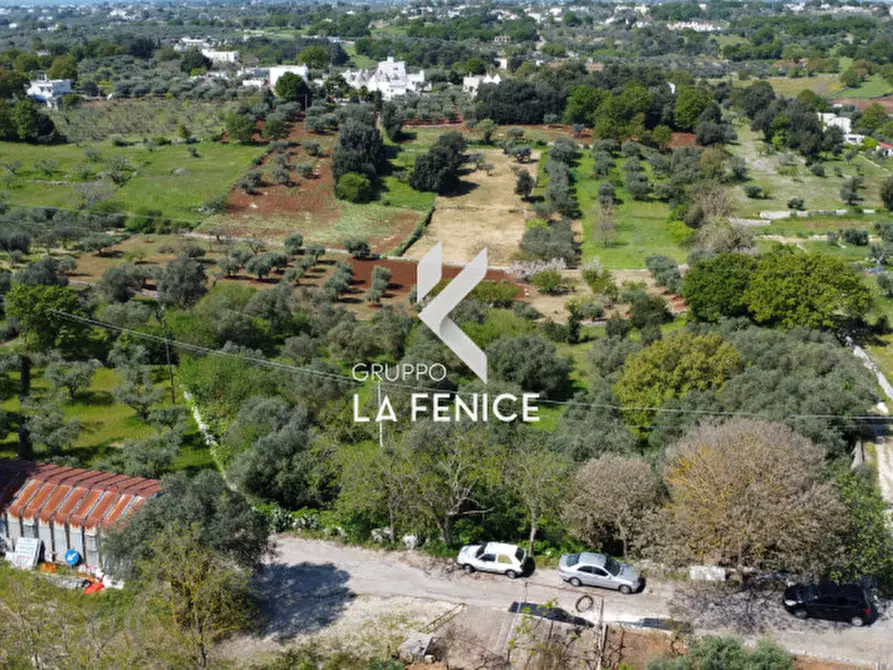Immagine 29 di Terreno in vendita  in Contrada Pozzoallegro a Locorotondo