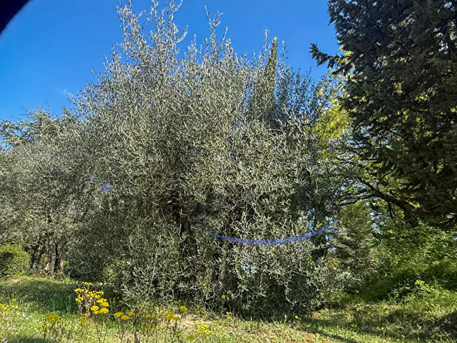 Immagine 10 di Villa in vendita  in Tregozzano a Arezzo