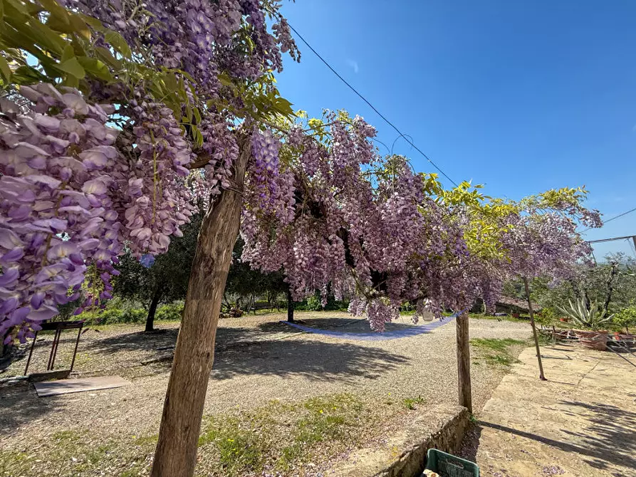 Immagine 36 di Villa in vendita  in Tregozzano a Arezzo