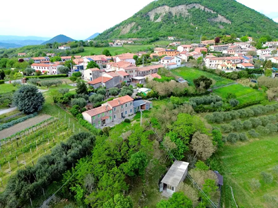 Immagine 3 di Casa indipendente in vendita  in Via Spiasi a Baone