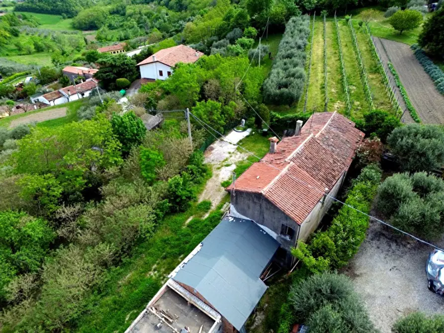 Immagine 4 di Casa indipendente in vendita  in Via Spiasi a Baone