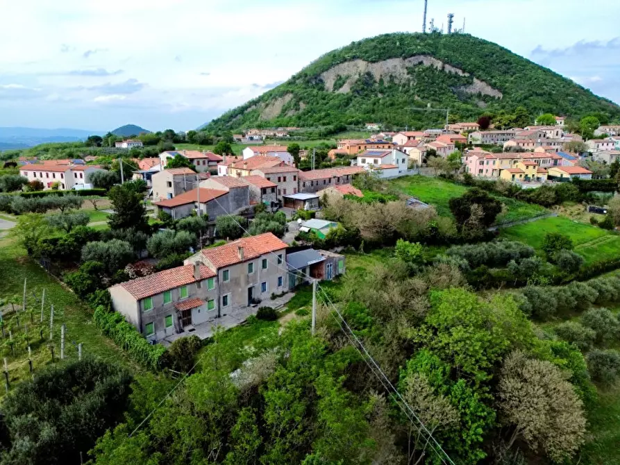 Immagine 7 di Casa indipendente in vendita  in Via Spiasi a Baone