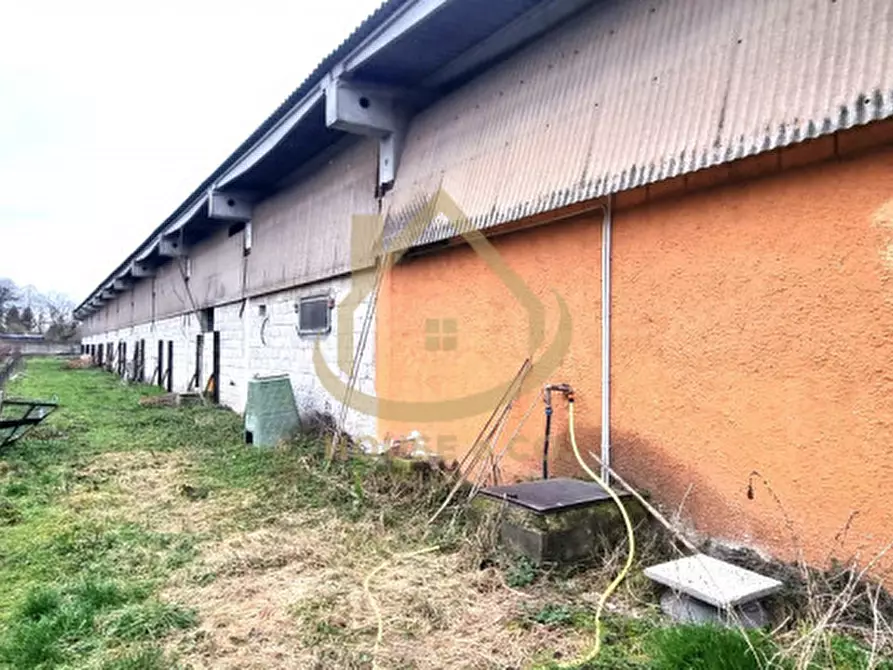 Immagine 7 di Villa in vendita  in Viale Agricoltura a Vigevano