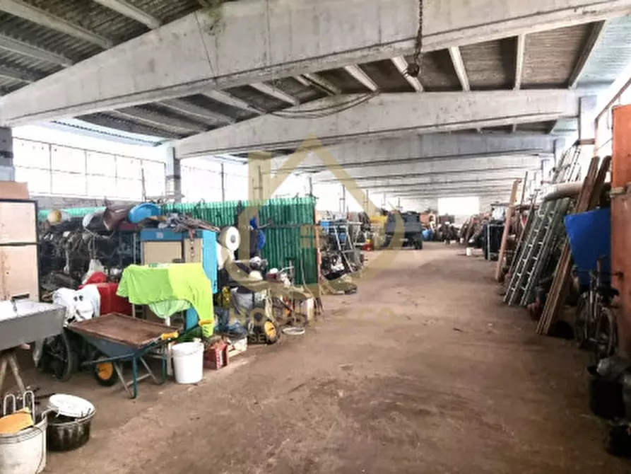 Immagine 9 di Villa in vendita  in Viale Agricoltura a Vigevano
