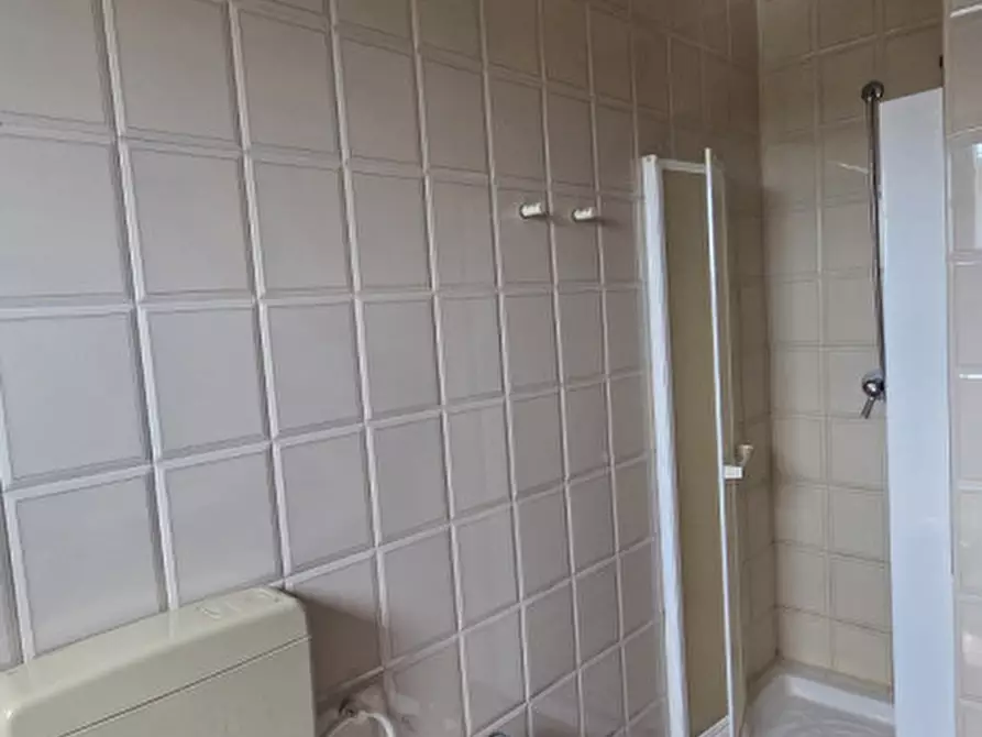 Immagine 22 di Casa bifamiliare in vendita  in Via Giacomo Matteotti 490 a Lusia